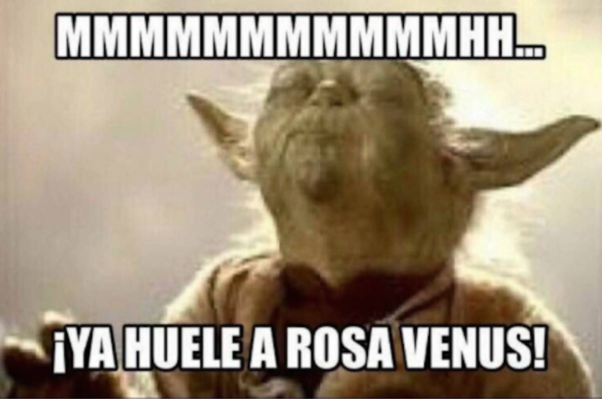 jabon-rosa-venus-profeco