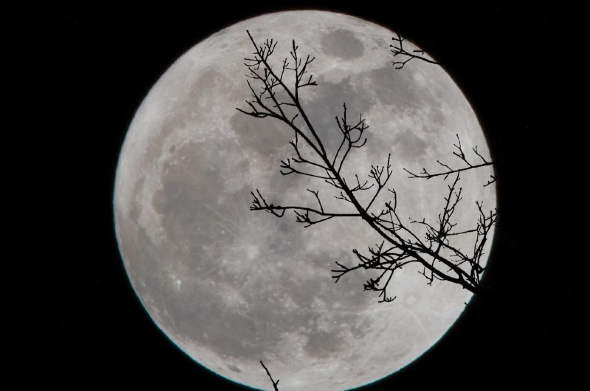 Luna llena de castor de noviembre: por qué se llama así