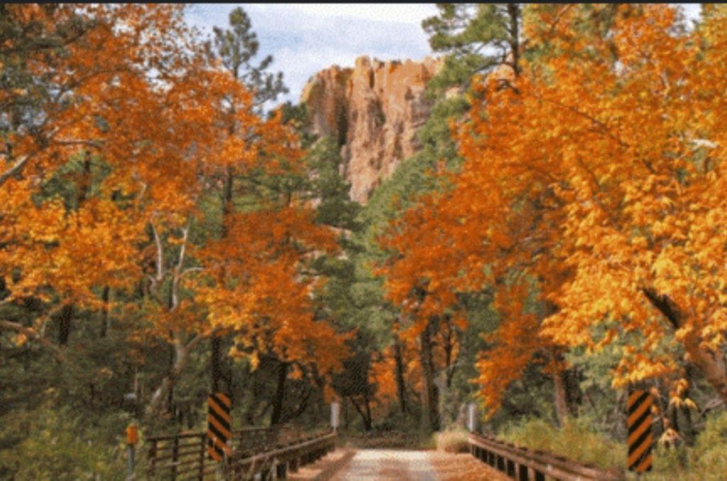 Vive lo mejor del invierno en Arizona: trenes, nieves y naturaleza 0