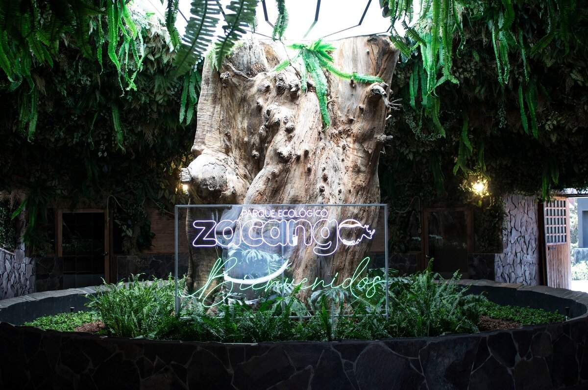 Visita el Parque Ecológico Zacango, un zoológico ubicado en el Estado de México