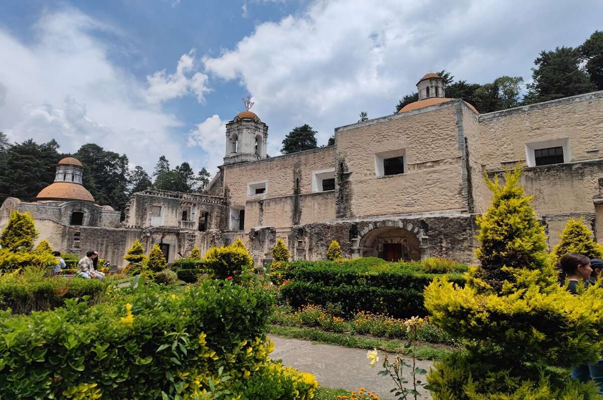 Desierto de los Leones: un pulmón verde rehabilitado en CDMX