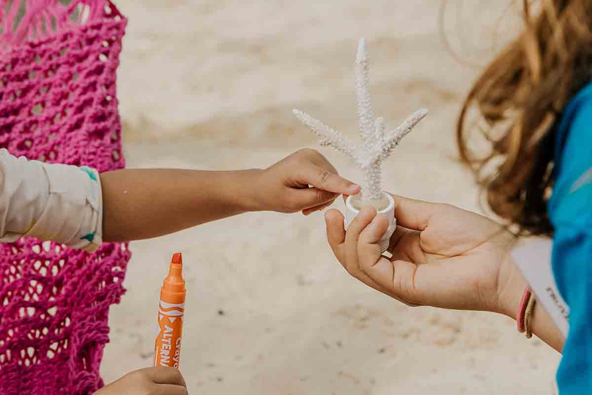 Reef Week en Mayakoba: protección de los Corales en  la Riviera Maya 0