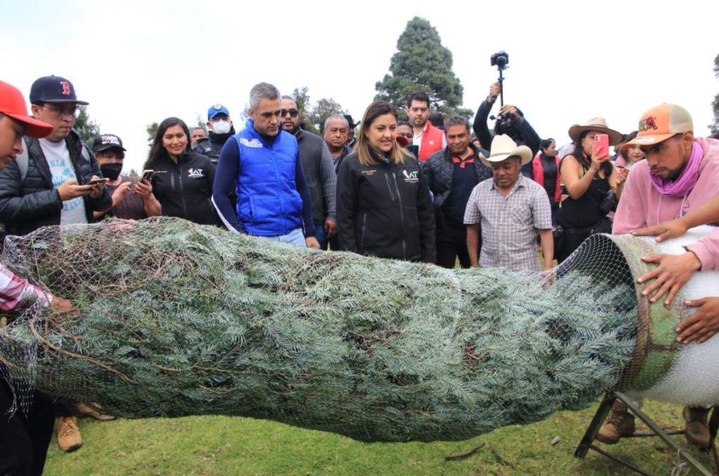 donde comprar árboles naturales de navidad en cdmx