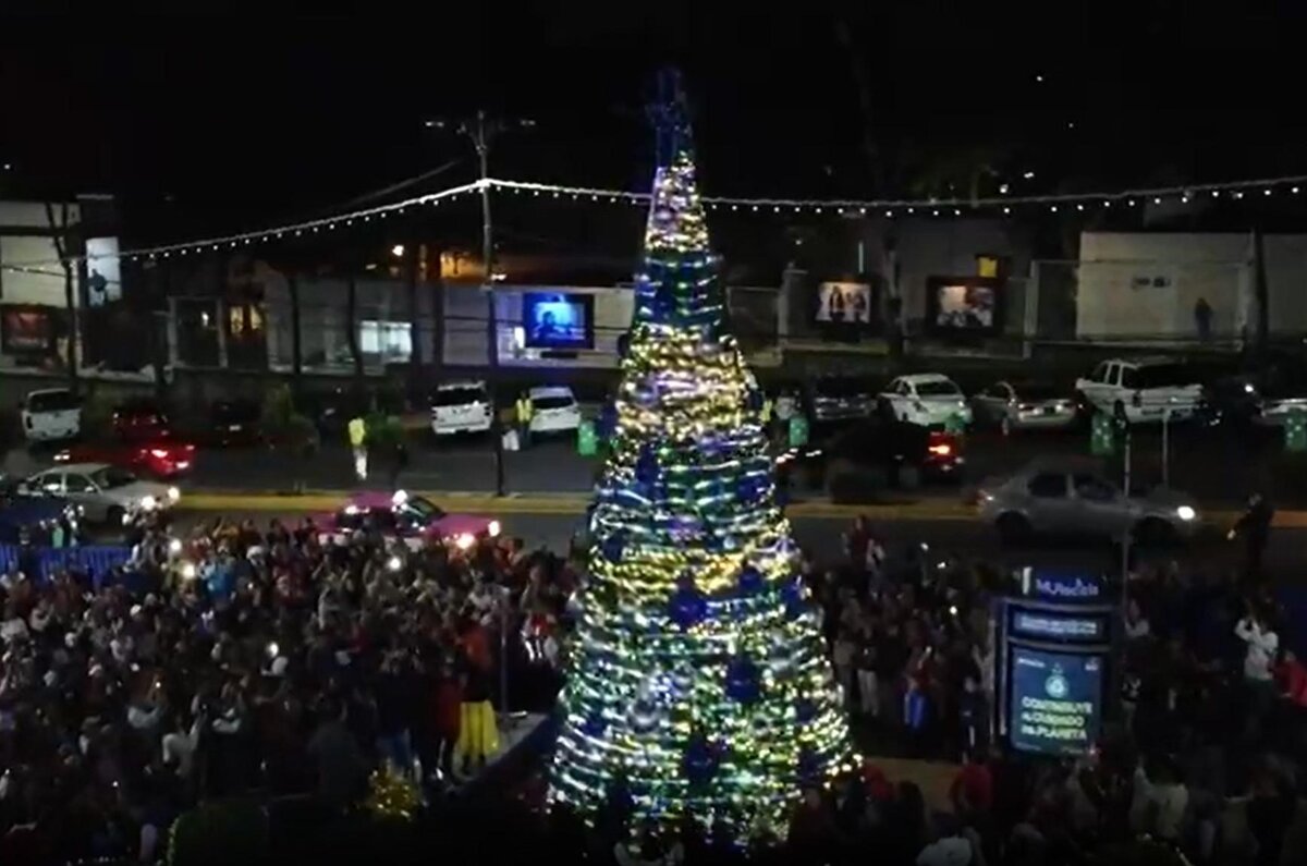 árboles navideños en las Alcaldías de CDMX