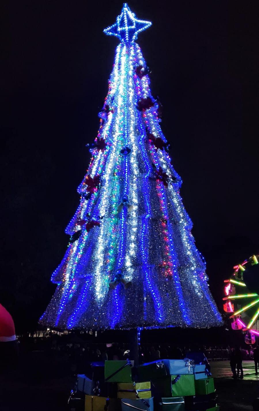 árboles navideños en las Alcaldías de CDMX