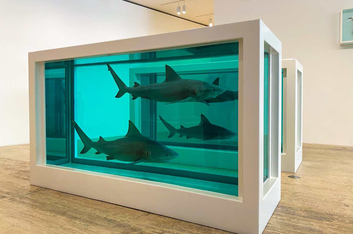 Habrá una exposición de Damien Hirst en el Museo Jumex ¡Y será GRATIS!