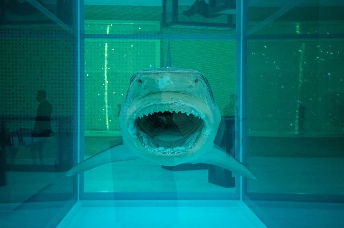 Top 5: Museos de arte contemporáneo que debes conocer