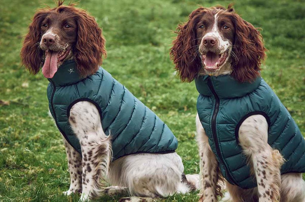 Hackett London x Hugo and Hudson: ropa más elegante para tu perro