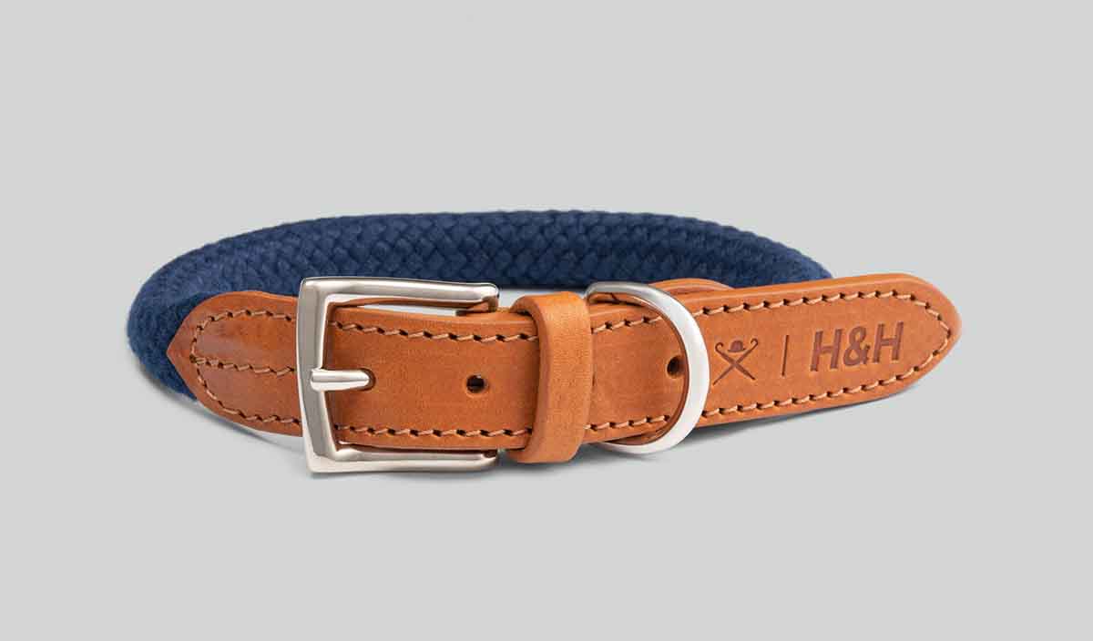 Hackett London x Hugo and Hudson: ropa más elegante para tu perro 1