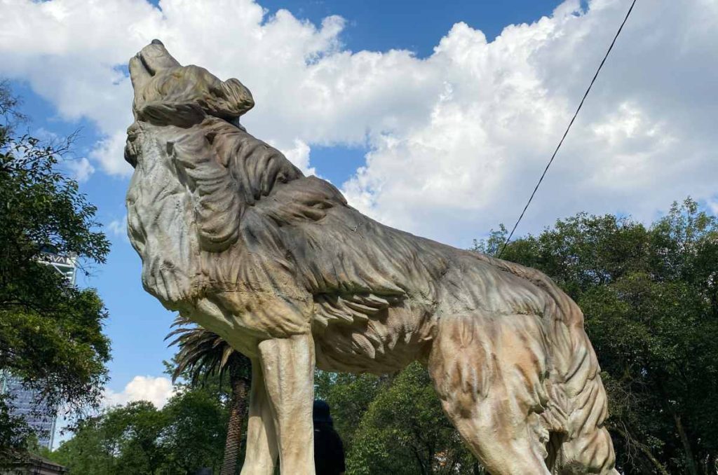 Lobo en la exhibición de animales gigantes