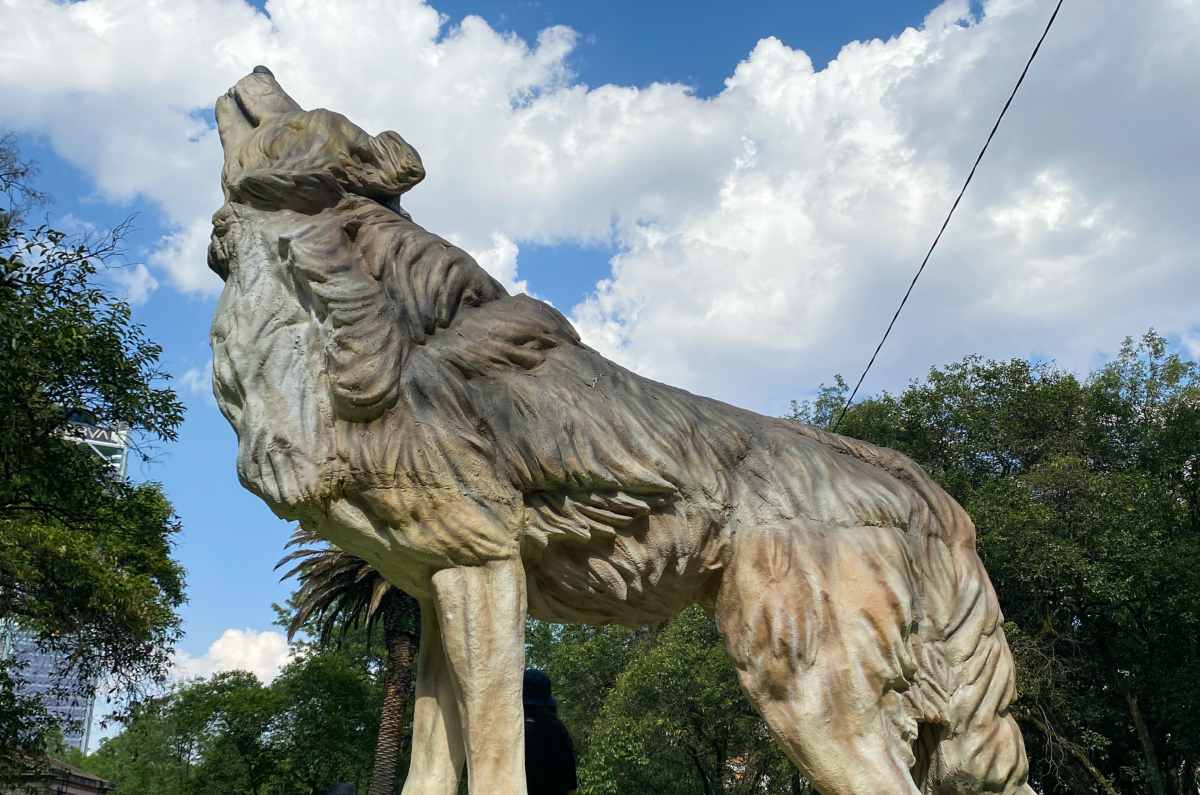 lobo-gigante-aragon-bosque