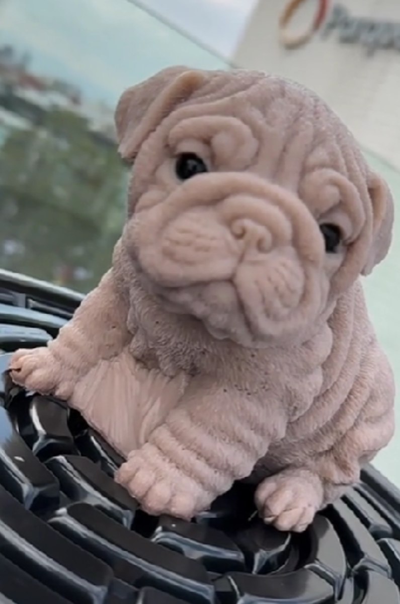 perrito-de-gelatina-en-cdmx-bulldog