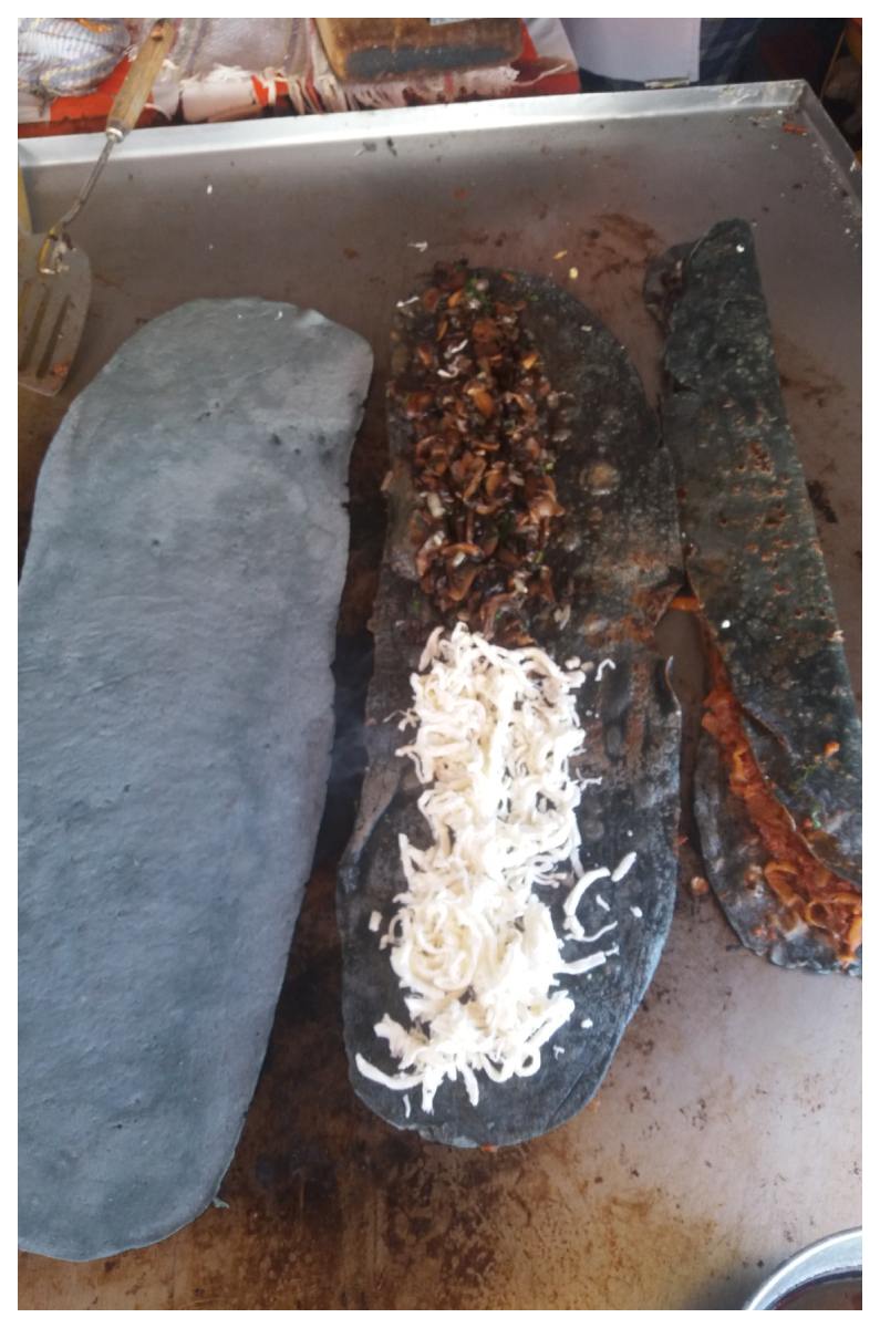 quesadillas-2