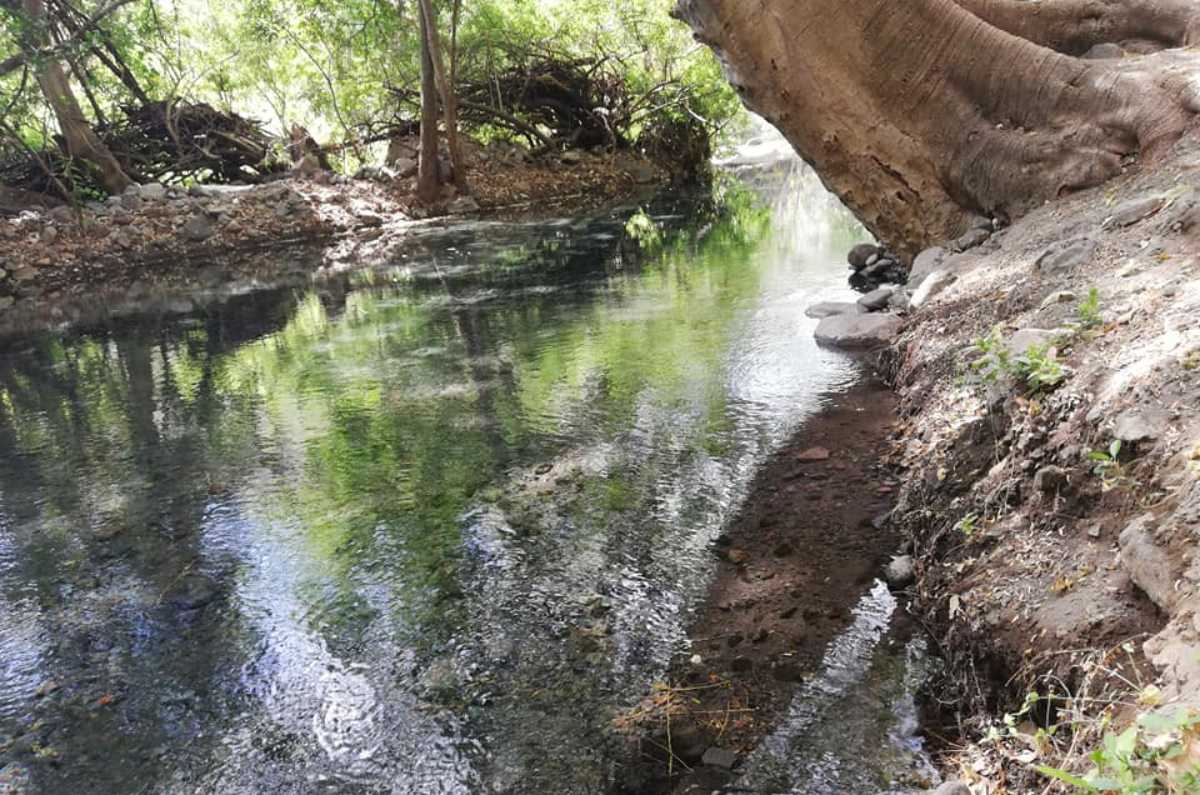 Foto: Cortesía El Hervidero