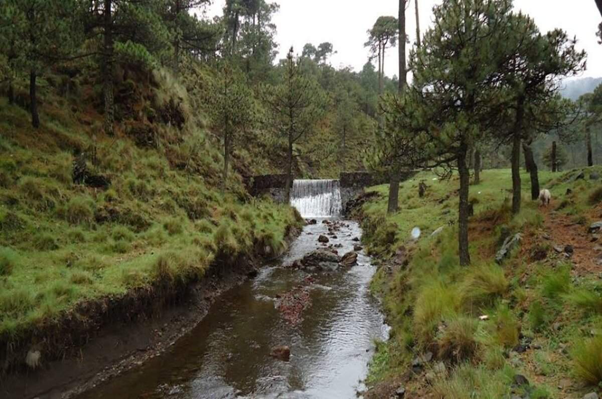 ¡Conoce las Áreas Naturales Protegidas de CDMX!