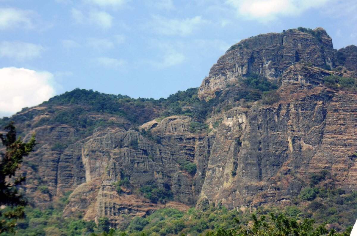 ¡Conoce las Áreas Naturales Protegidas de CDMX! 4