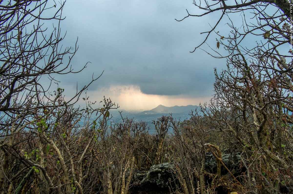 Áreas Naturales Protegidas en CDMX