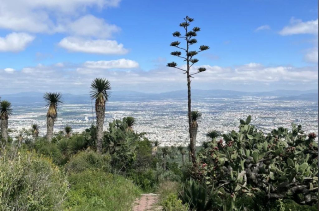 Trail Running en Querétaro: ¡corre en las mejores rutas naturales! 0