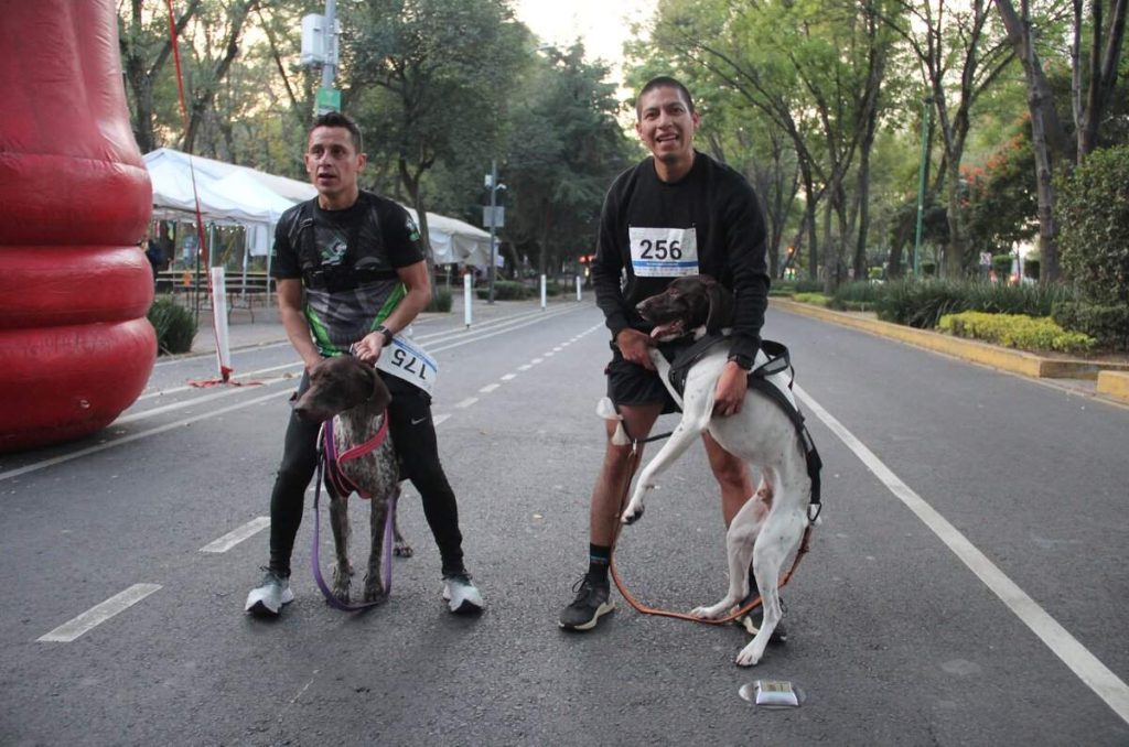 Dog Running 2024 en CDMX