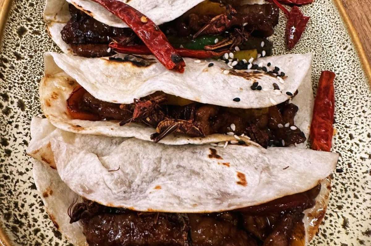don-pling-exquisita-comida-china-con-toque-mexa-en-polanco-5