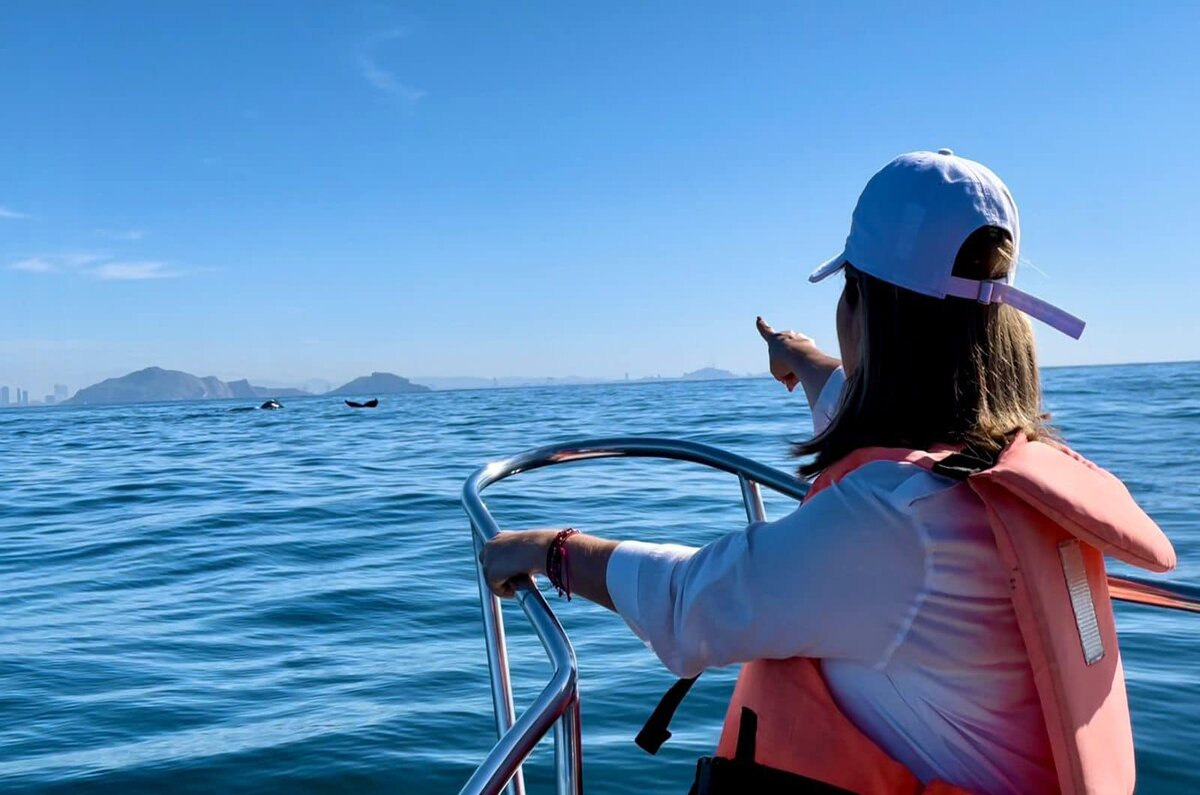 Temporada de ballenas 2024: destinos en México donde se pueden ver 6