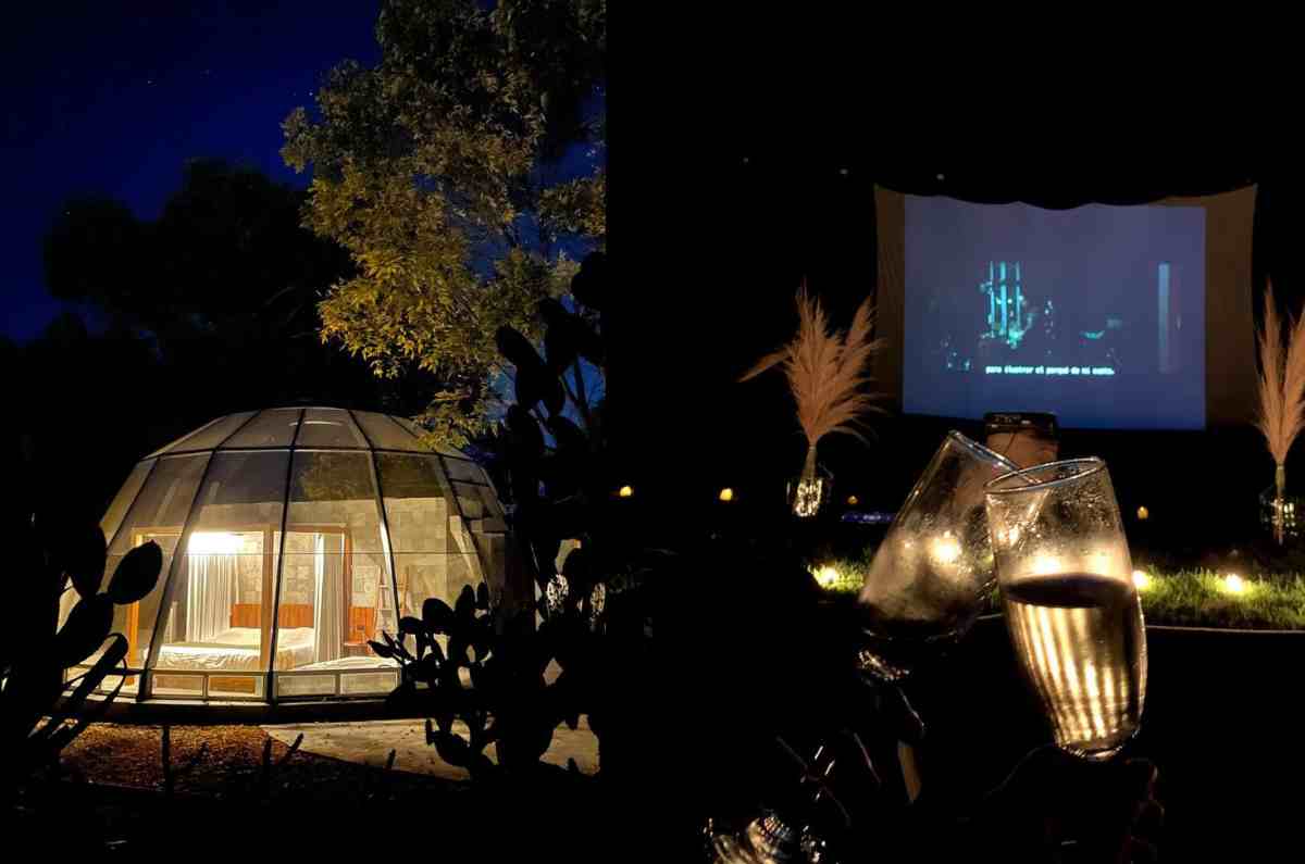 4. Raíces ⁠glamping