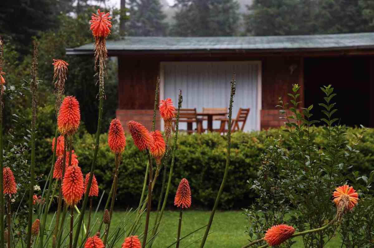 6. ⁠Rancho viejo, Estado de México