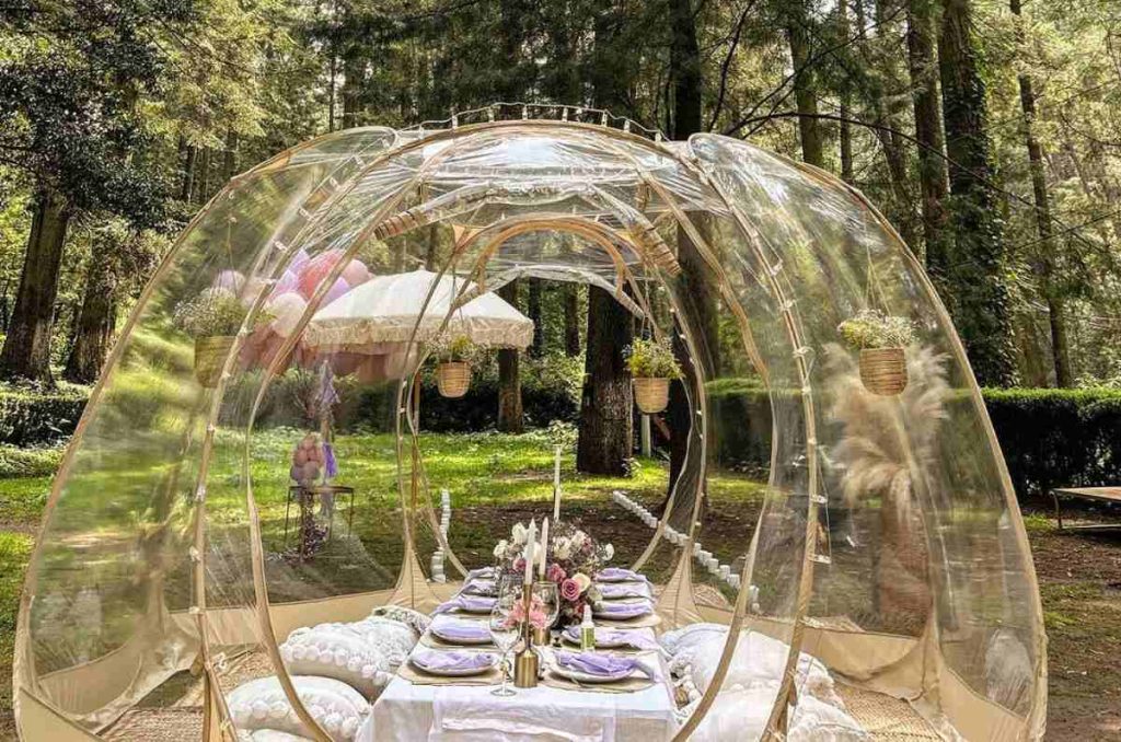 ¿Cómo organizar Bubble Picnics para San Valentín? Conoce Eunoia Experiencias