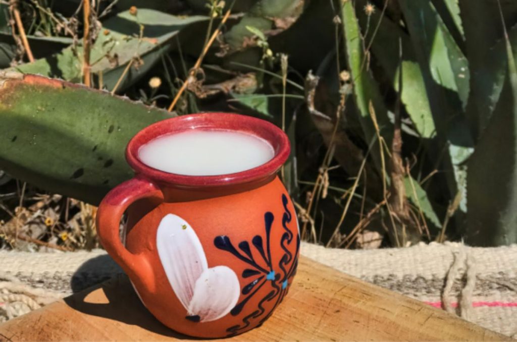 Habrá más de 400 sabores de curados en la Feria del Pulque 2024