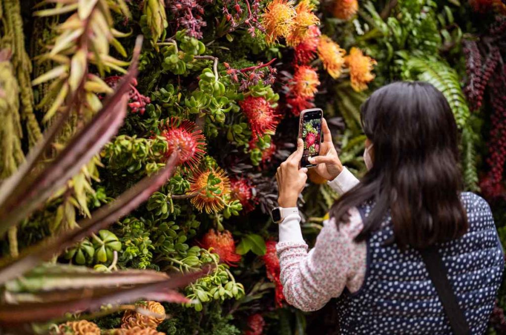 Festival de Flores y Jardines 2024: conoce fechas, sede y qué ver 