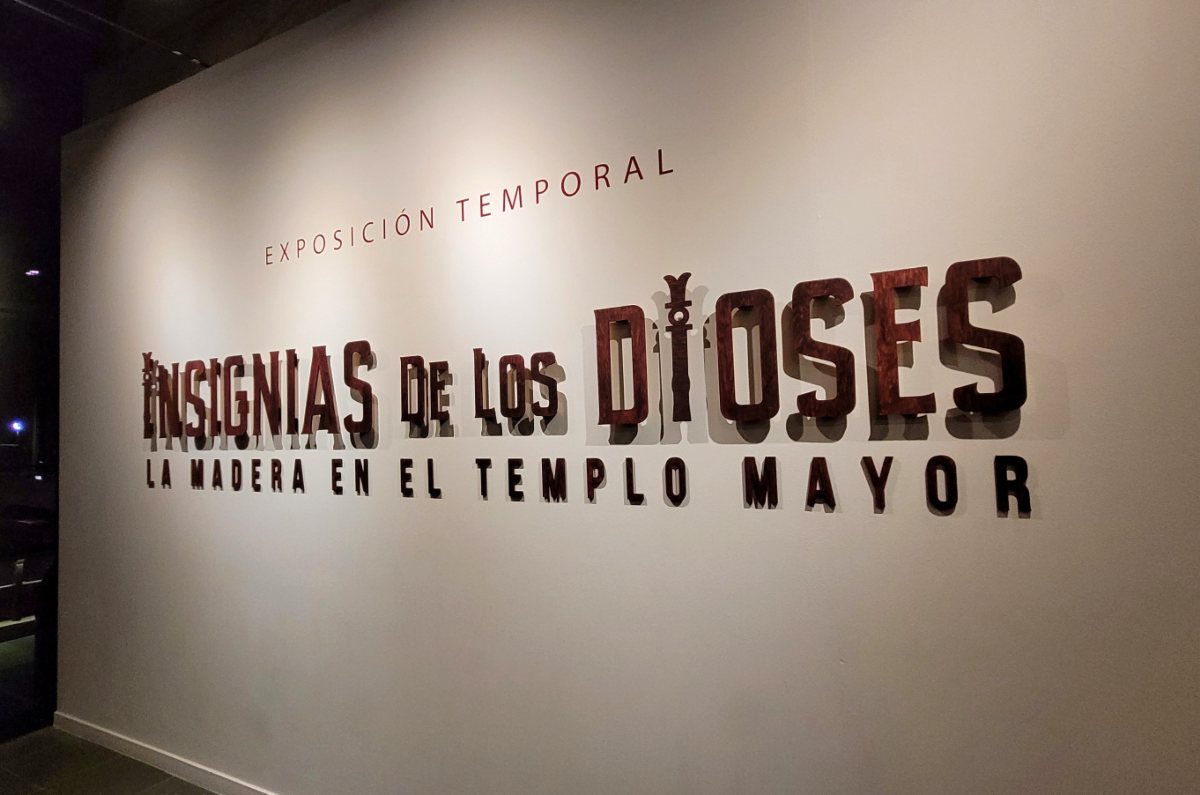 5 actividades culturales para hacer en enero en la CDMX