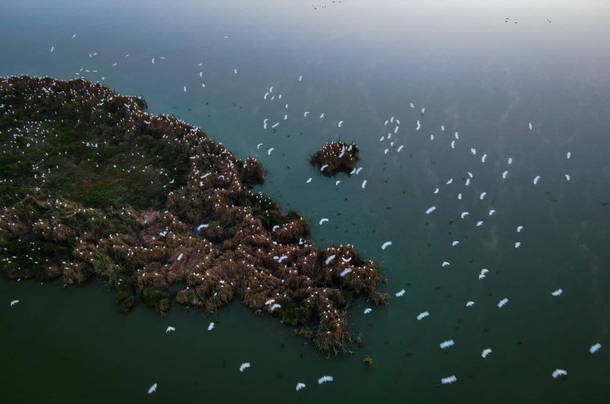 Lago Tláhuac-Xico, nueva Área Natural Protegida en CDMX