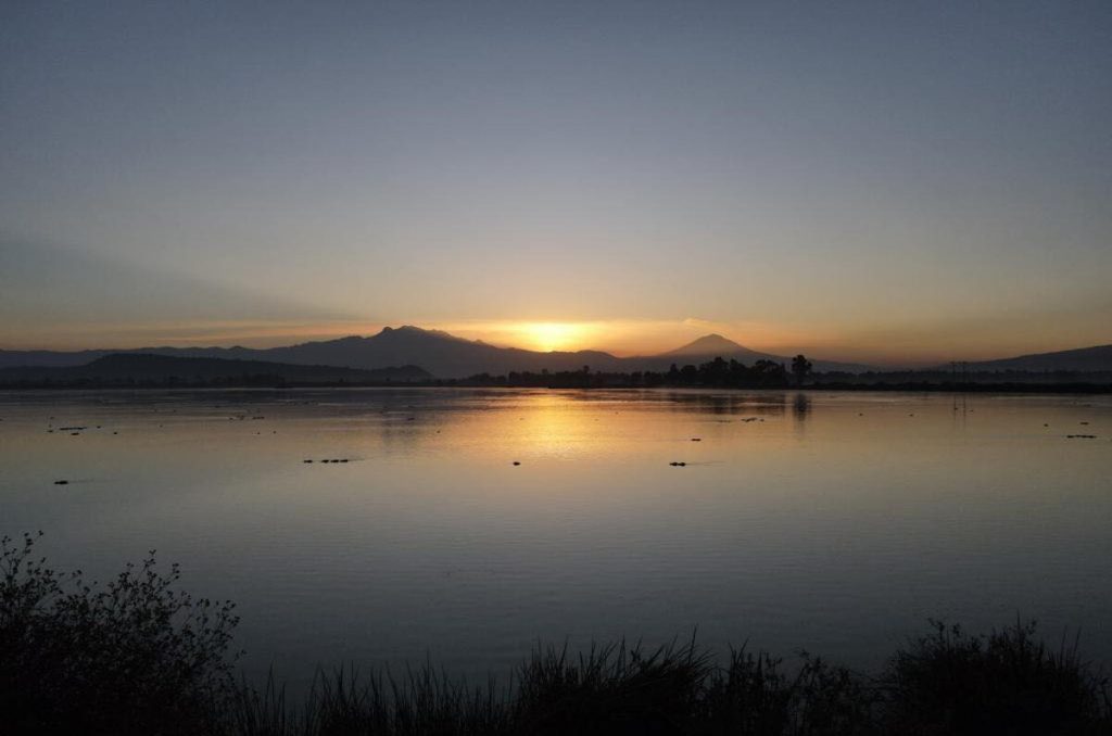 Lago Tláhuac-Xico, nueva Área Natural Protegida en CDMX