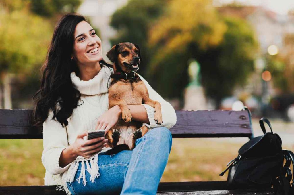 Lugares pet friendly ideales para ir con tus lomitos