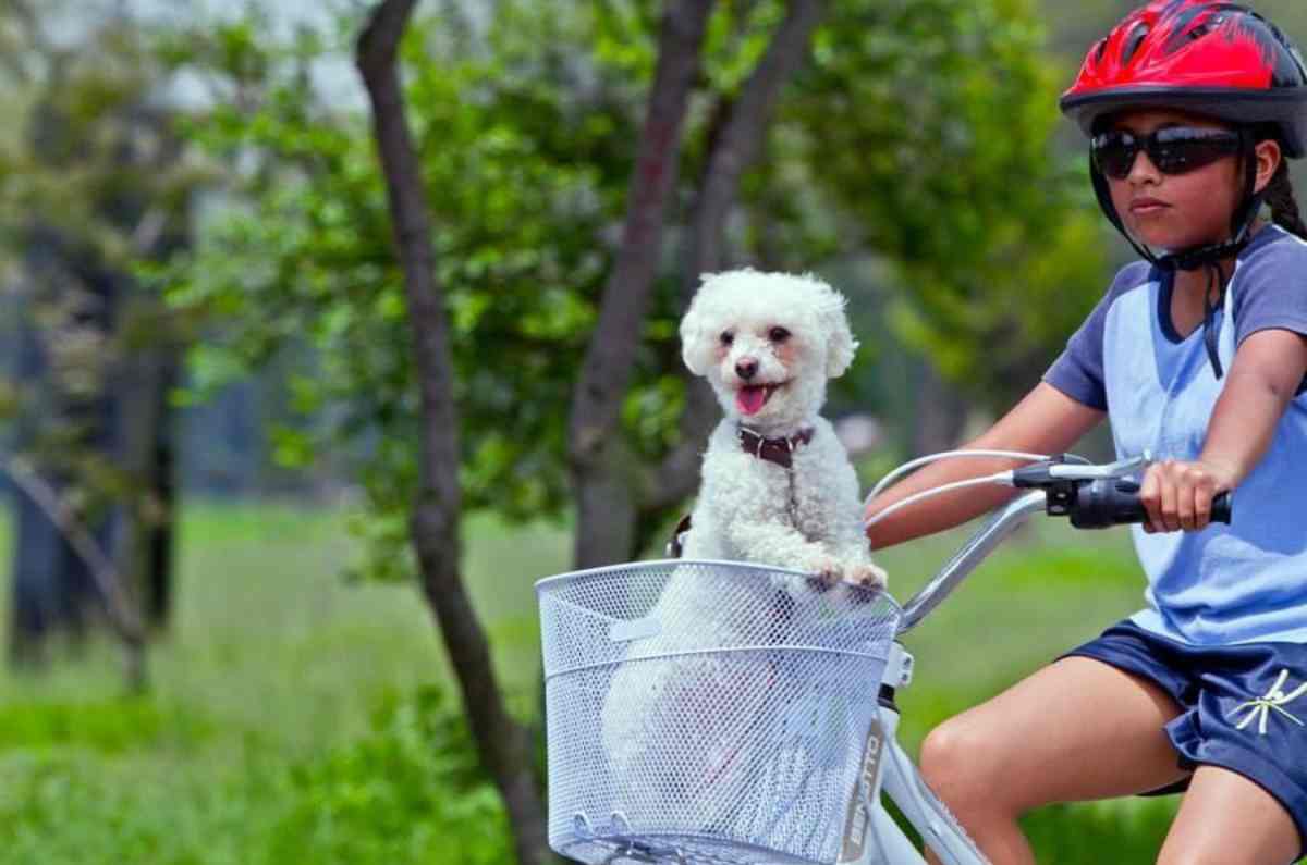 3. Bosque San Juan de Aragon