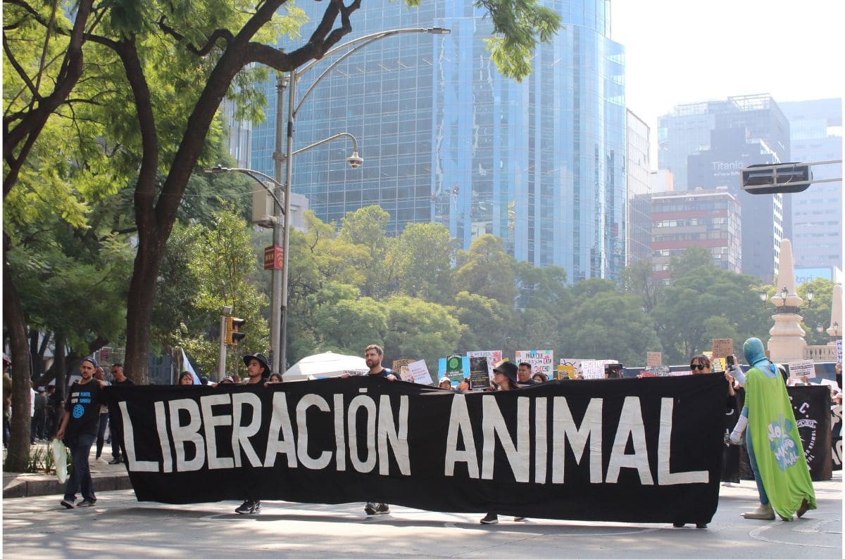 ¿Cuándo es la Marcha contra las Corridas de toros en CDMX?