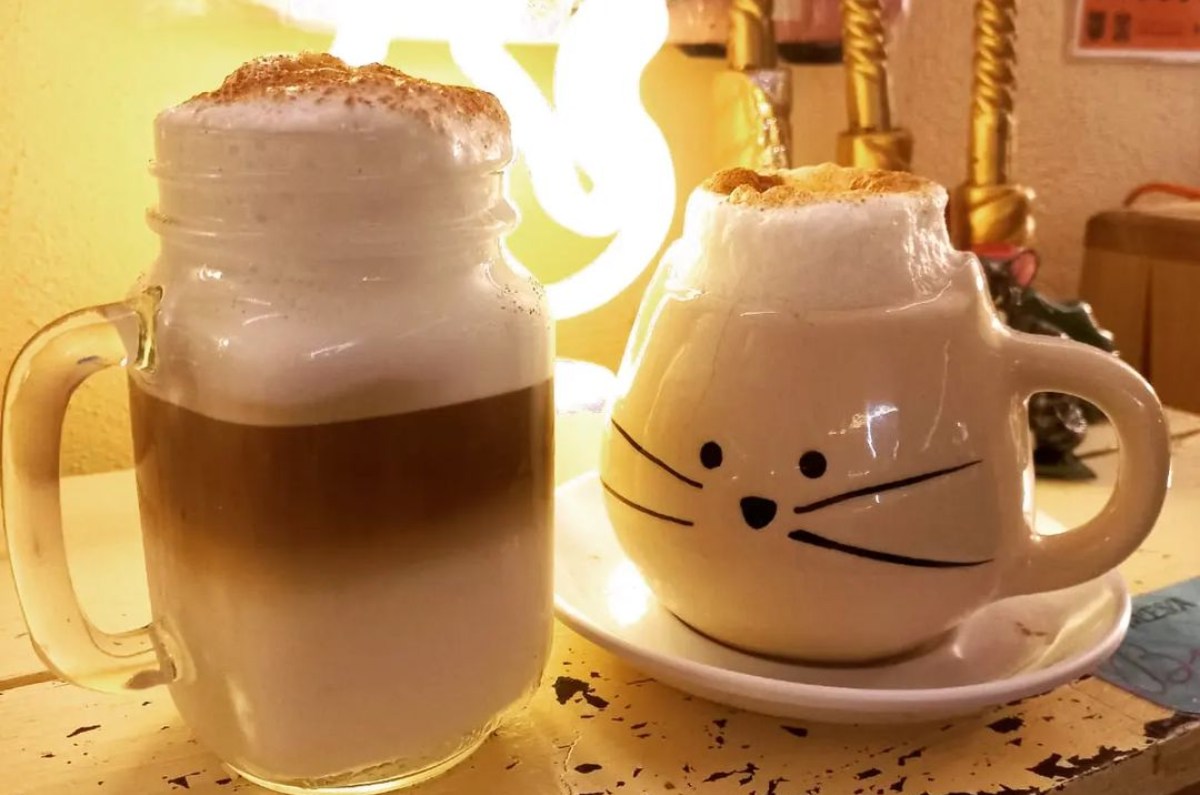 MojiGato Café, la cafetería temática de michis en CDMX ¡La amarás!