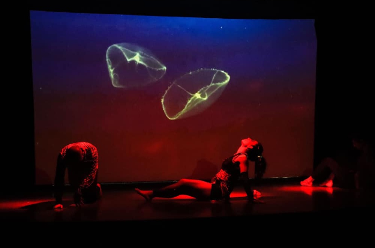 1. Teatro en el Martí presenta: Mi entorno