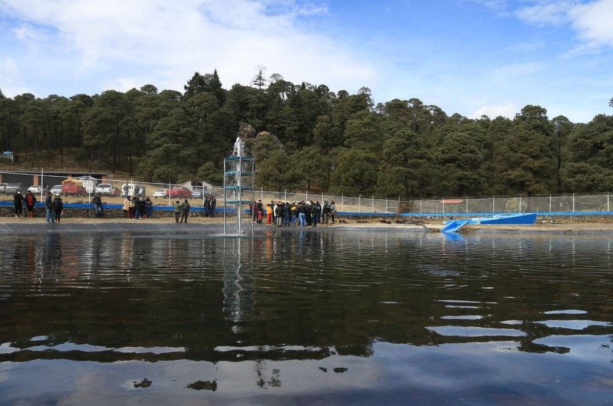 Parques ecoturísticos en la CDMX