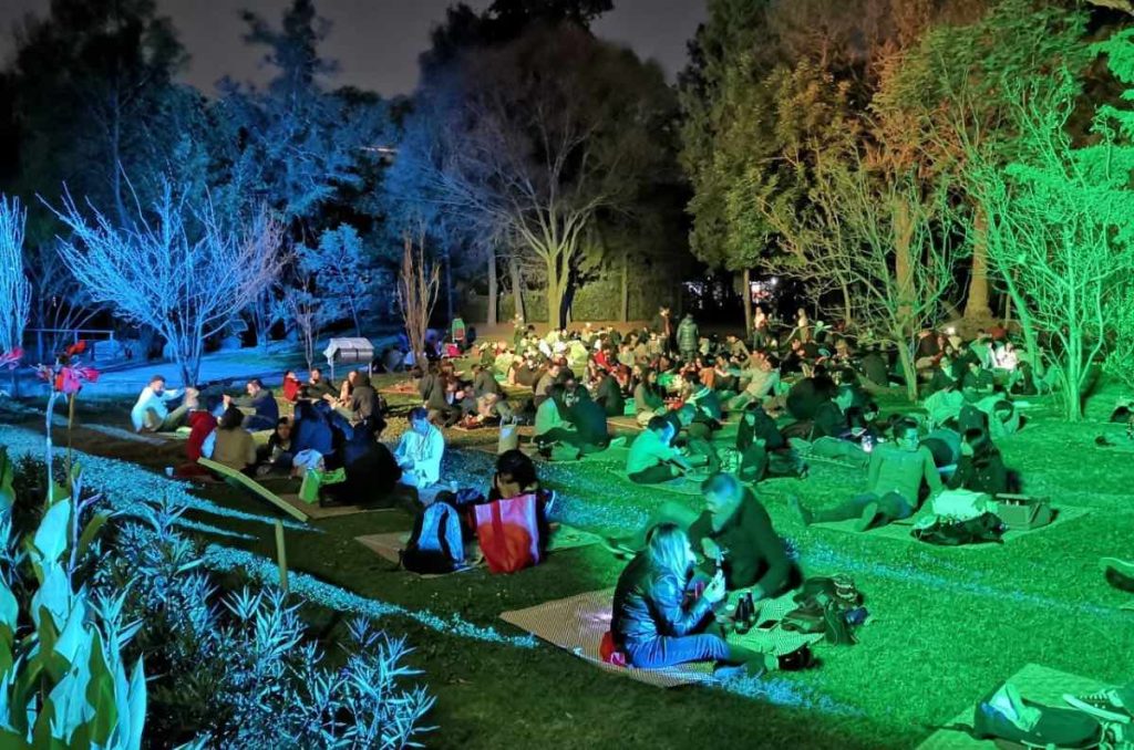 picnic nocturno Bosque de Chapultepec