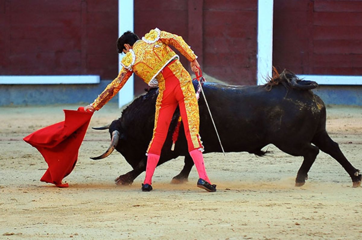 Suspenden corridas de toros en la Plaza México