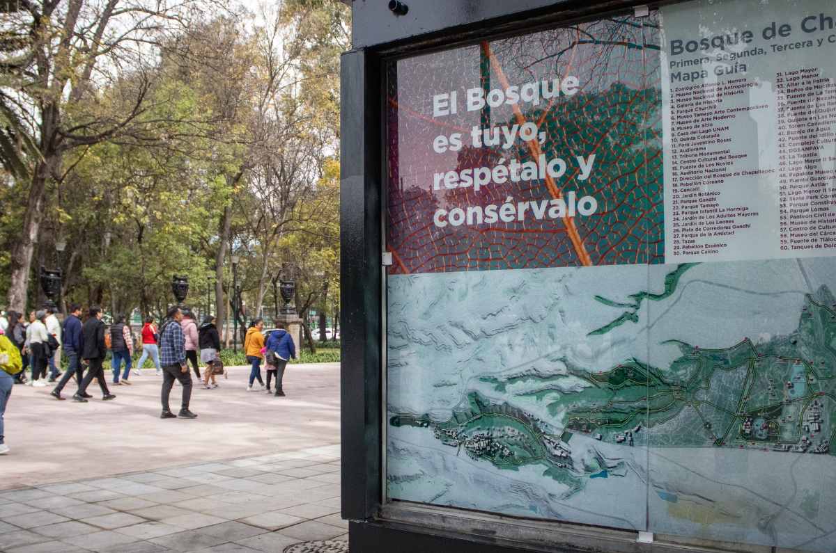 Cortesía: Bosque de Chapultepec 