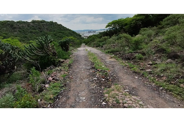 Trail Running en Querétaro: ¡corre en las mejores rutas naturales! 1