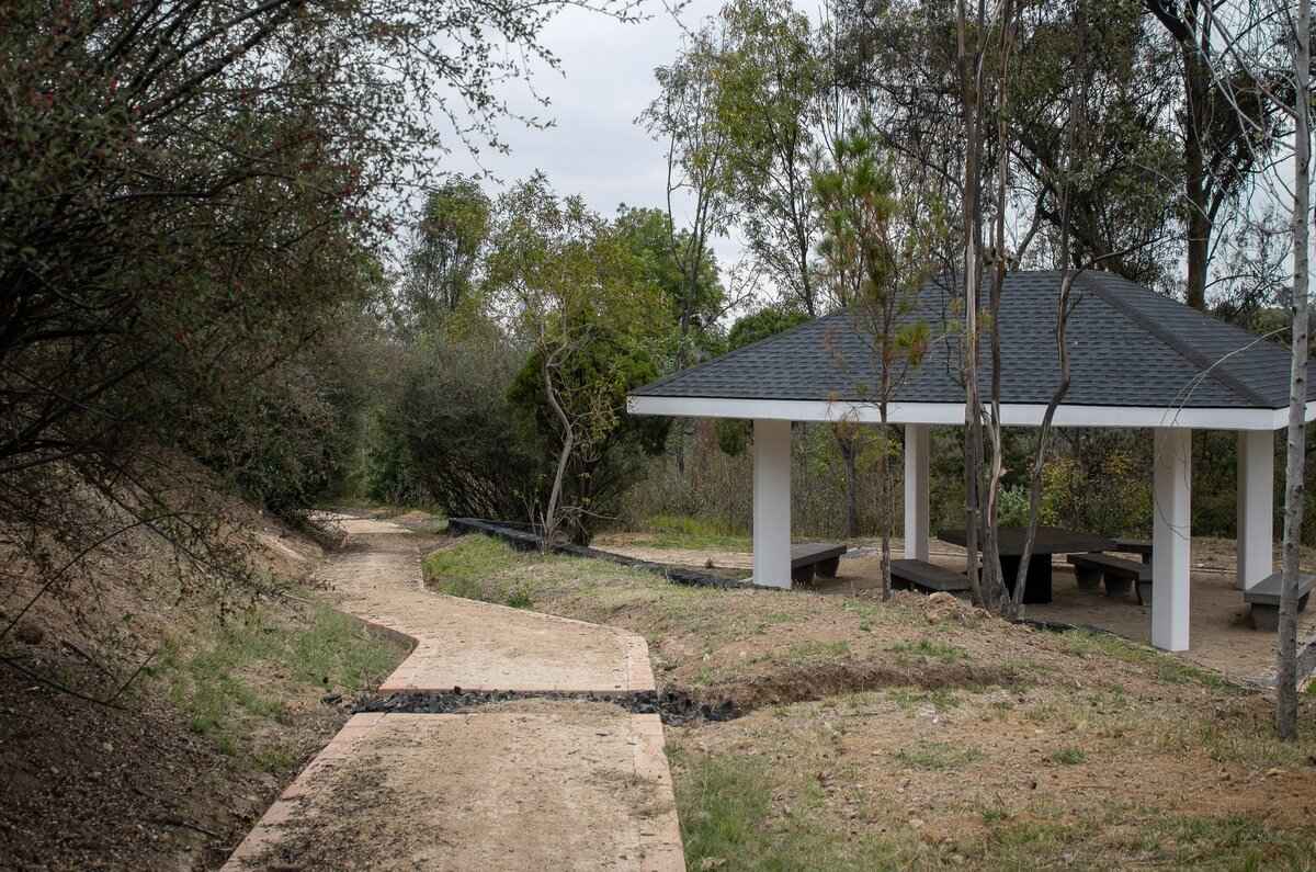 Fotos: Bosque de Chapultepec 