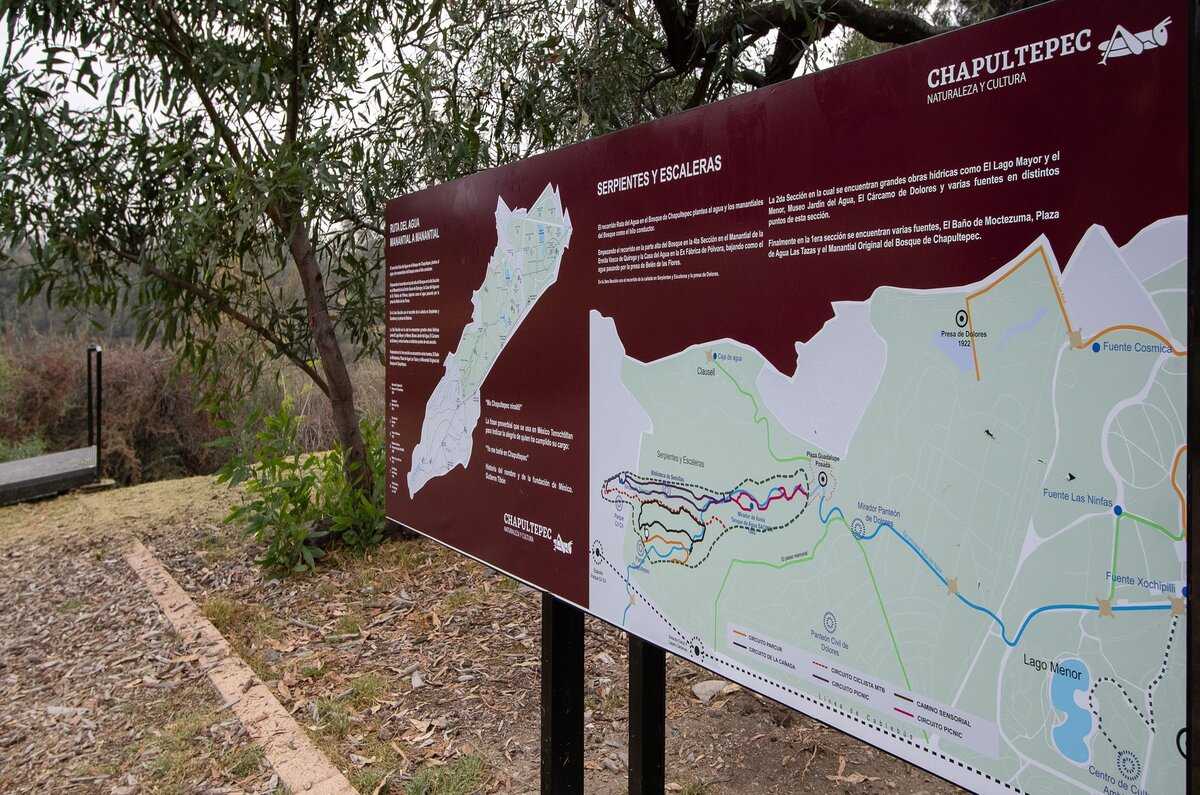 Serpientes y escaleras, el novedoso circuito del Bosque de Chapultepec 0