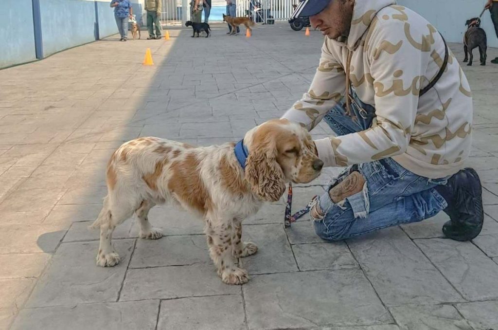 Adiestramiento canino en la Alcaldía Cuauhtémoc