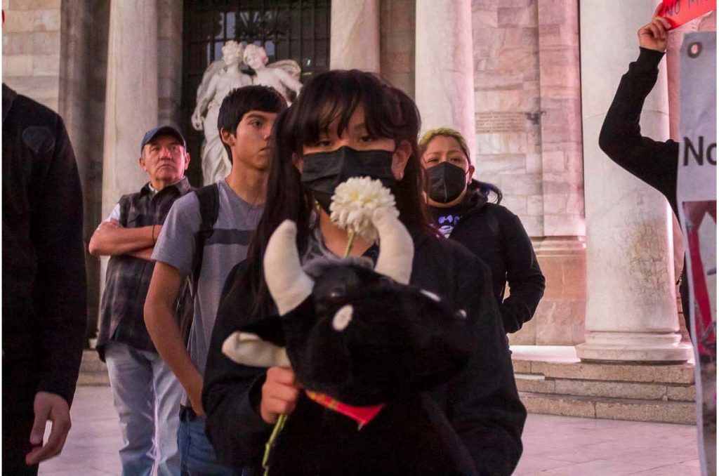 Siguen las corridas de toros, jueza niega suspensión definitiva