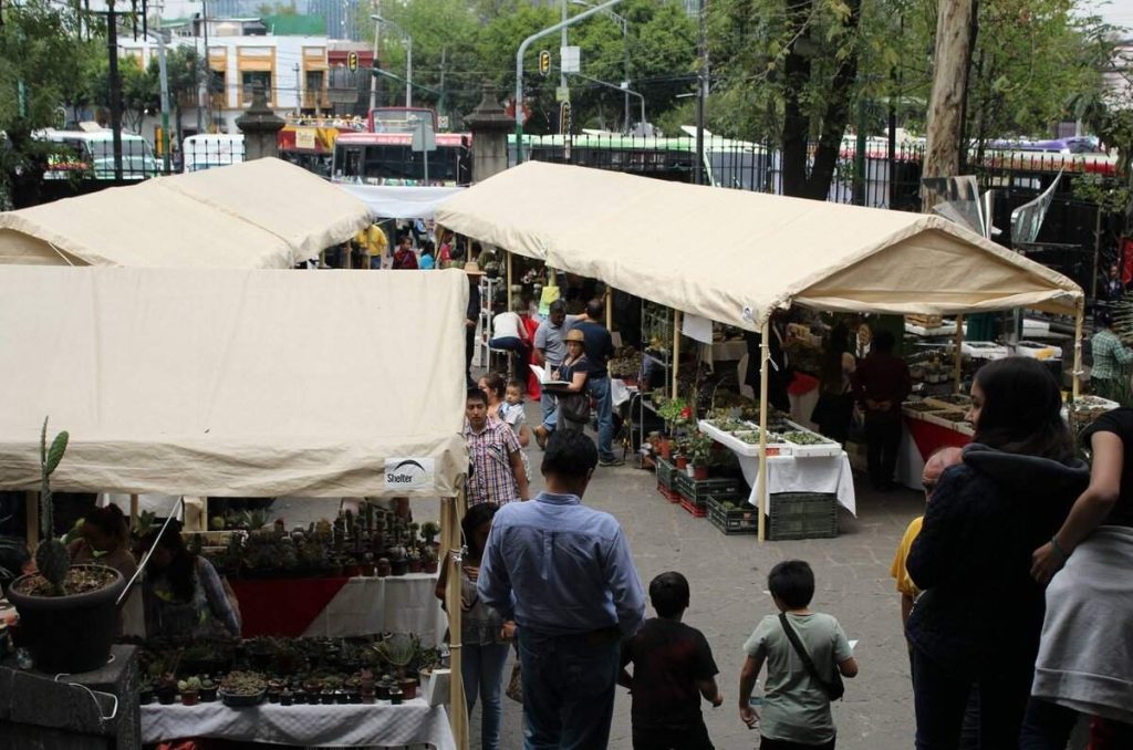 Festival de las Cactáceas 2024