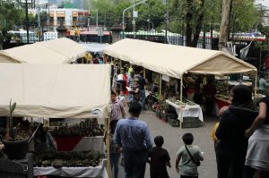 ¡Lánzate al Festival de las Cactáceas 2024 en Xochimilco!