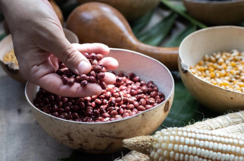 Evento gastronómico en Yucatán